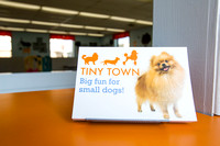 Canine To Five, Tiny Town